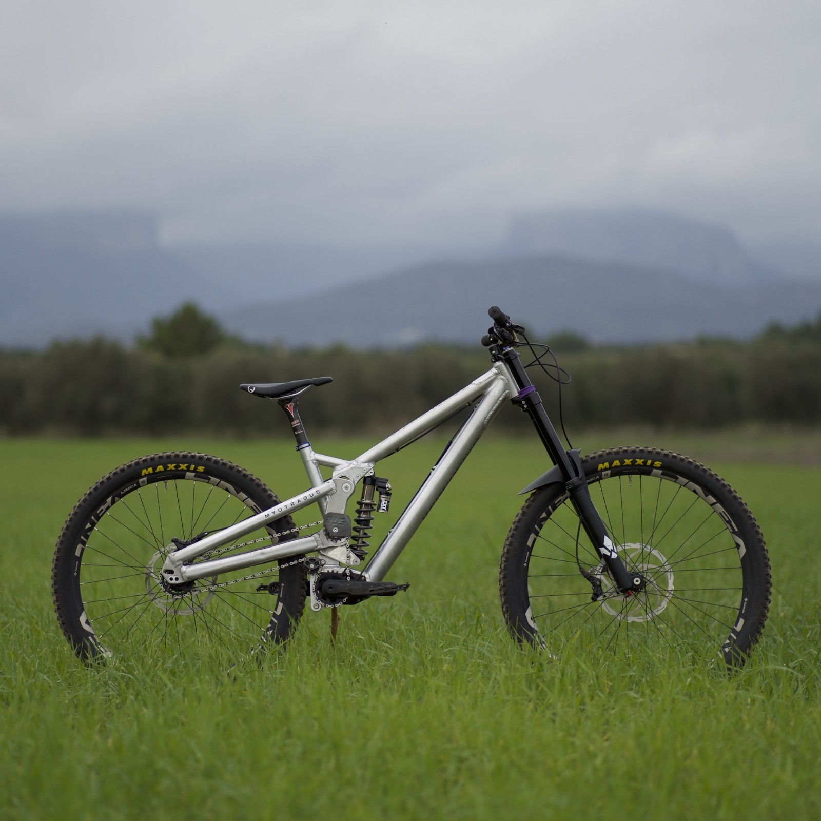 myotragus-dorothea-dh-vital-bike-of-the-day-december-2022-mountain